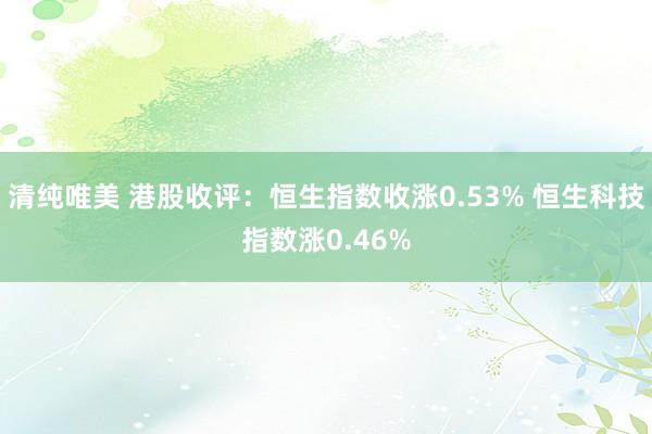 清纯唯美 港股收评：恒生指数收涨0.53% 恒生科技指数涨0.46%