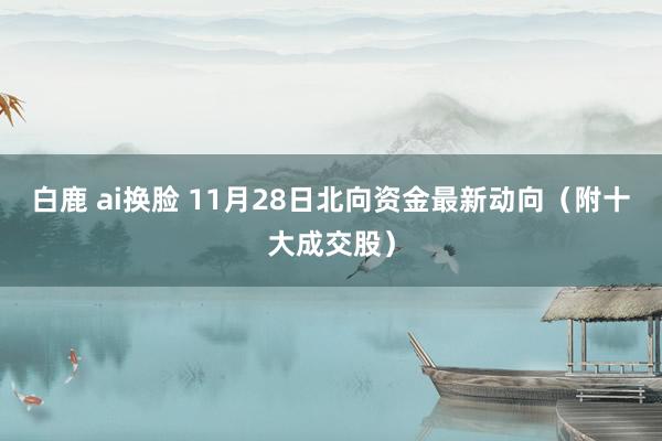 白鹿 ai换脸 11月28日北向资金最新动向（附十大成交股）