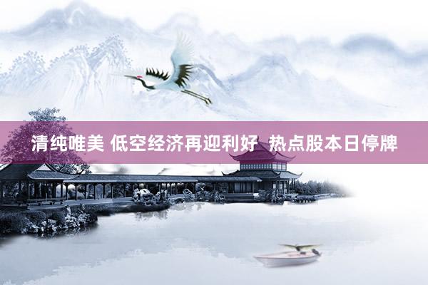 清纯唯美 低空经济再迎利好  热点股本日停牌