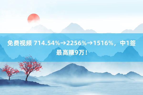 免费视频 714.54%→2256%→1516%，中1签最高赚9万！
