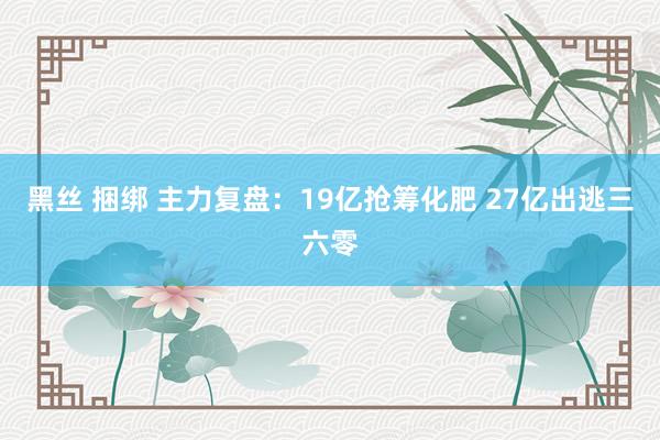 黑丝 捆绑 主力复盘：19亿抢筹化肥 27亿出逃三六零
