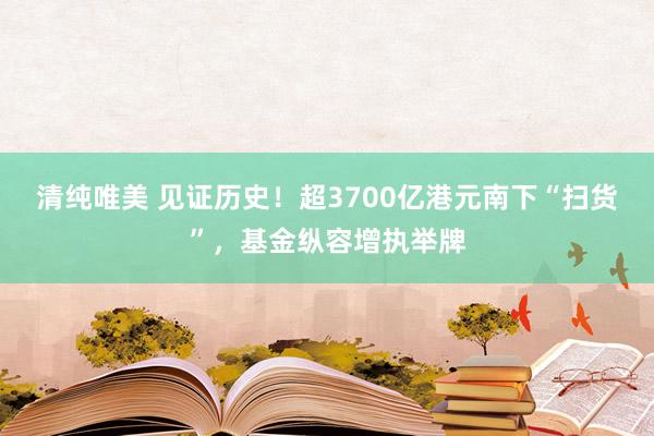 清纯唯美 见证历史！超3700亿港元南下“扫货”，基金纵容增执举牌
