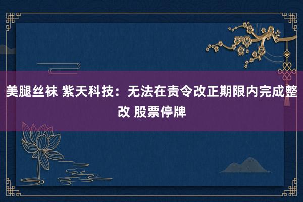 美腿丝袜 紫天科技：无法在责令改正期限内完成整改 股票停牌
