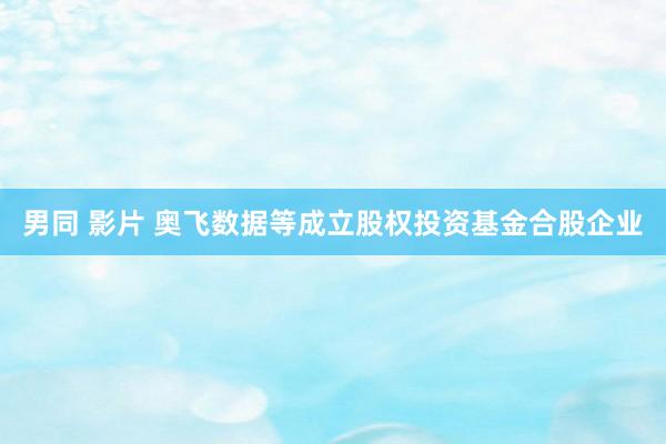 男同 影片 奥飞数据等成立股权投资基金合股企业